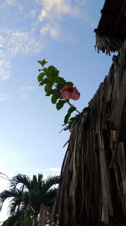 ORLANDO CITY PARK área de camping - 5