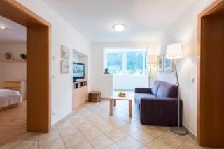 Panorama Spa Lodges DasSchiller MEDIUM - Bad Gastein - 7