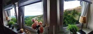 Ferienwohnungen Dorfliebe Dörnberg WALDBLICK - Bestwig - 4