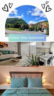 Relaxing & Cozy, Forest View Apartment, FREE Parking - Braşov - 0