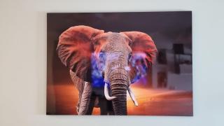 Lovley 2 bed apartment with a sea view ! - 6