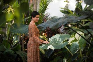 Amari Sayulita Boutique Hotel - 6