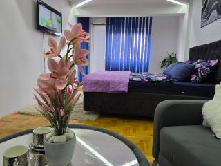 Revolution Star Apartman - Leskovac - 9