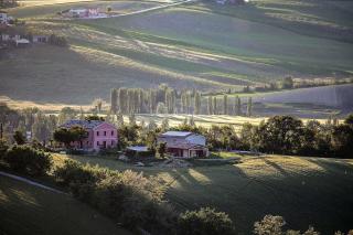 Quindici Alberi Legnaia - Serra deʼ Conti - 2