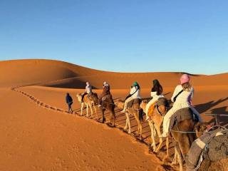 Omar Desert Camp - Merzouga - 0