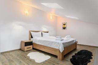 Zen Loft with Forest View in Silver Mountain - Braşov - 1
