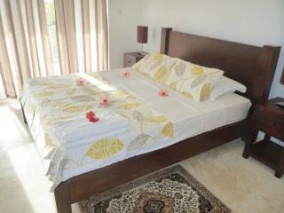 Eine Apartmentwohnung mit Balkon oder Terrasse und Meerblick oder Panoramablick - Beau Vallon - 2