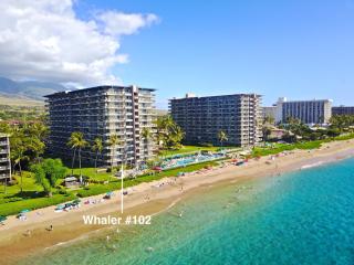 Whaler 102 - 9