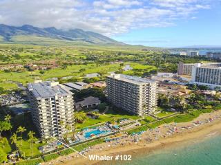 Whaler 102 - 7