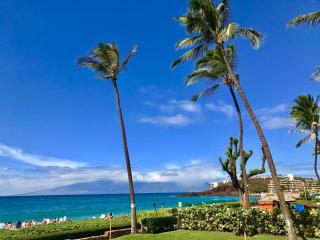 Whaler 102 - Lahaina - 6