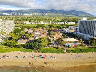 Whaler 102 - Lahaina - 1