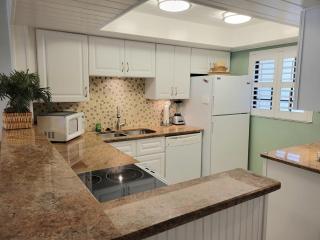110 - Ocean View 1/1 Poolside Ground Floor - New Smyrna Beach - 4