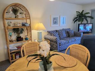 110 - Ocean View 1/1 Poolside Ground Floor - New Smyrna Beach - 6