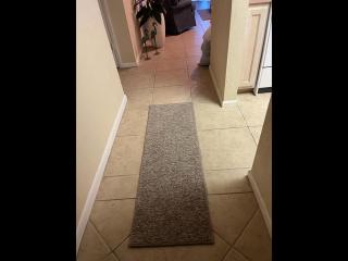 402 - Fourth floor ocean view delight - New Smyrna Beach - 4
