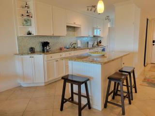 404 - Beautiful 2/2 Ocean View - New Smyrna Beach - 3