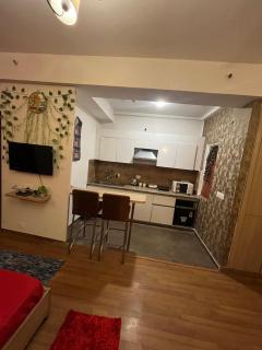 Skyline Escape Stylish Studio Apartment with Stunning City Views - Noida - 5