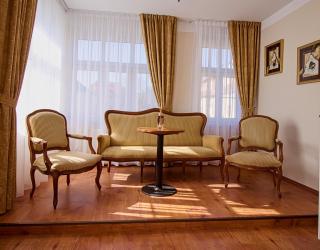 Villa Patriot Apartmany - Mariánské Lázně - 3