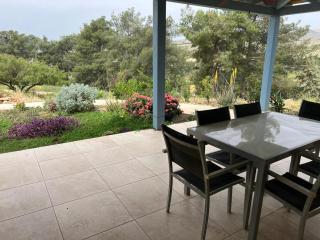 מול הכנרת Over looking the Sea of Galilee - Chorazim - 8