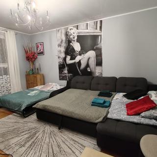 Współczesny Apartament Gdańsk - Borkowo - 7