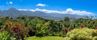 Hanalei Bay View - 6