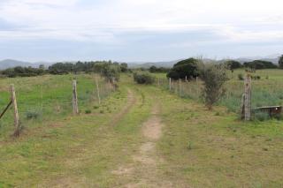 Appartamento Miele - Olbia - 5