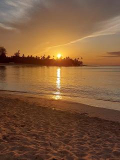 The Nest, a quiet refuge with impressive views - Las Terrenas - 8