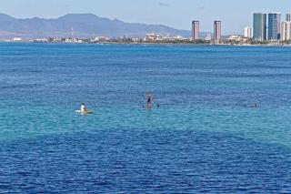 Colony Surf 102 - 9