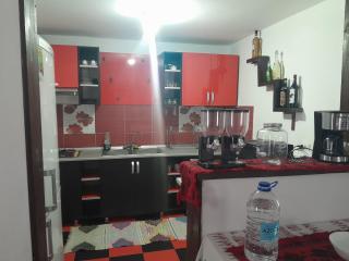 Casa Nico Nelu Duplex - Arieşeni - 7