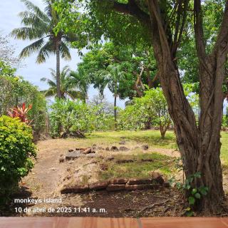 Monkey's Island Hostel - 8