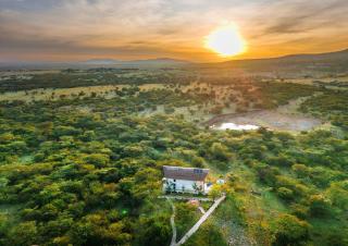 Kitumo Mara Lodges - Mara Simba - 5