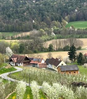 Gästehaus - Camping- Weinhof Radl - Klöch - 9