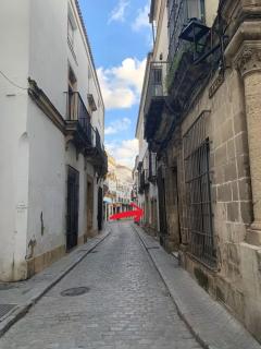 Estudio en Jerez de la Frontera - Jerez de la Frontera - 5