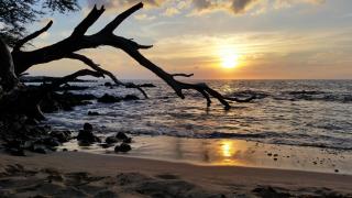 Hale Hamakua - 3