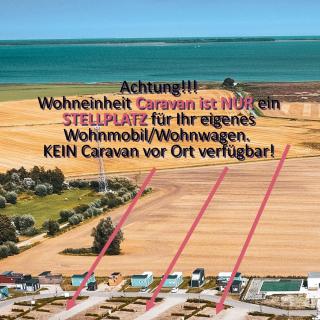 Prima Resort Boddenblick - Camping-Stellplätze - Tiny Houses & Ferienwohnungen in Ostsee Nähe - Groß Kordshagen - 7