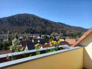 Le panorama - Appartement meublé 5 pièces cuisine salle de bain - Kaysersberg - 5