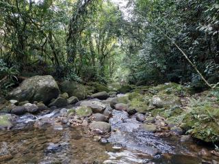 A family house in the woods of Atlantic forest - Cachoeiras de Macacu - 8