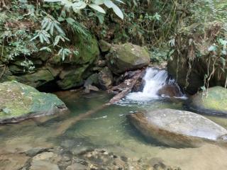 A family house in the woods of Atlantic forest - Cachoeiras de Macacu - 5