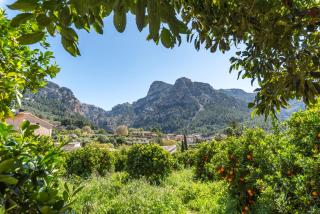 Finca Xesca - Sóller - 3