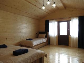 Cottage nikolozi2 - Arsha - 8