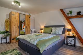 Zuarin Seeblick - Ganzes Apartment direkt am Schlossgarten von Schwerin mit Dschungelfeeling - Schwerin - 5