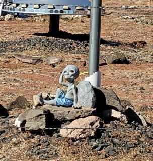 Alien Acres UFO Campground - - 4
