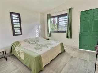 Tahiti Iti - Fare Pihiti Spot - Paui - 3