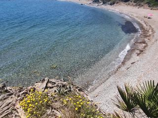 First line beach 2bedrooms appartment - Casares - 1