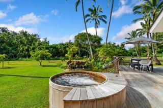 Coconut Hut - Kilauea - 9