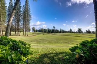 Turtle Bay Kuilima Collection 101 East - 5