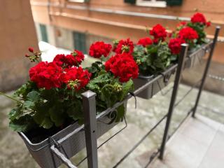 Appartamento a San Martino, Genova - Genova - 6