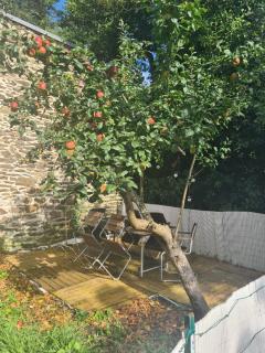 Studio de charme avec jardin au Quatre-Moulins - Brest - 7