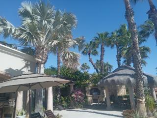 Hacienda la Ballena - Cabo San Lucas - 9