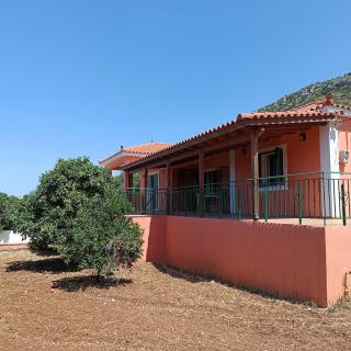 Private villa , 5 min drive from the beach - Minia - 3