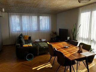 Modern apartment close to ESC - Muttenz - 6